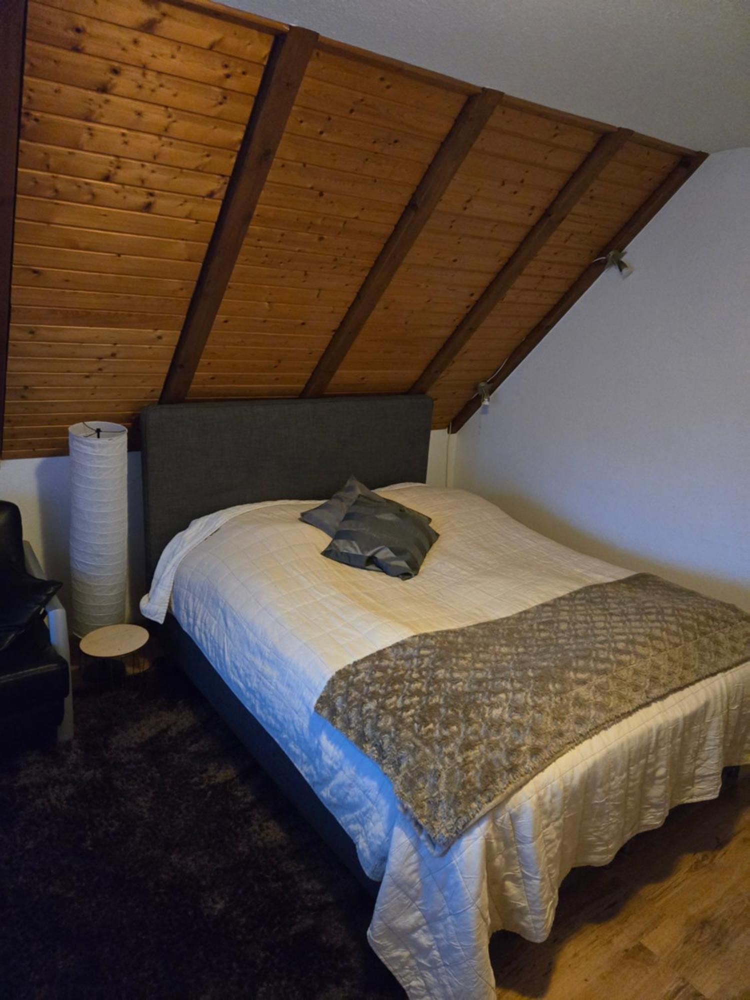 Haus Am Scheibenfelsen Apartment ซังคท์บลาเซียน ภายนอก รูปภาพ